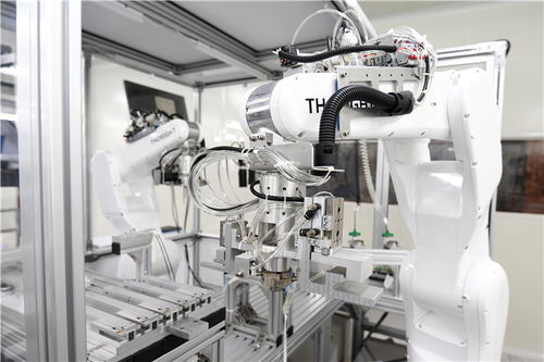 小膠囊沿西部陸海新通道遠航，數字技術賦能重慶企業造福全球